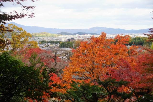 常寂光寺の概要